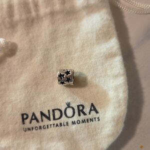 Pandora retired charm